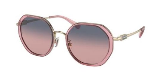 Picture of Coach Sunglasses HC7141
