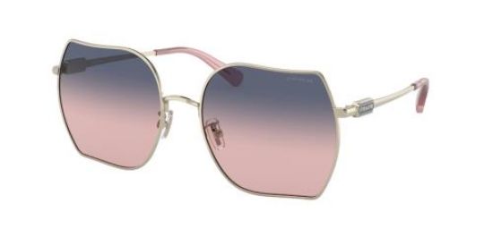 Picture of Coach Sunglasses HC7142