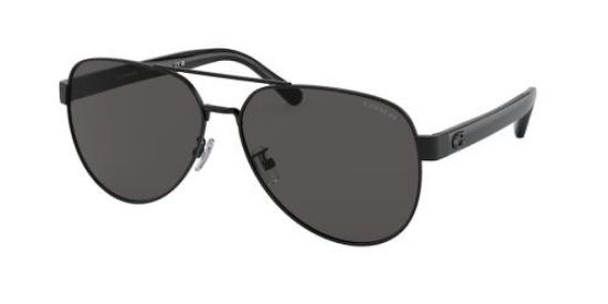 Picture of Coach Sunglasses HC7143