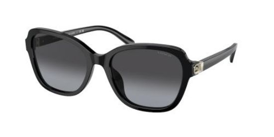 Picture of Coach Sunglasses HC8349U