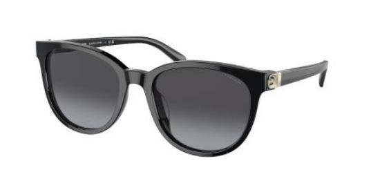 Picture of Coach Sunglasses HC8350U