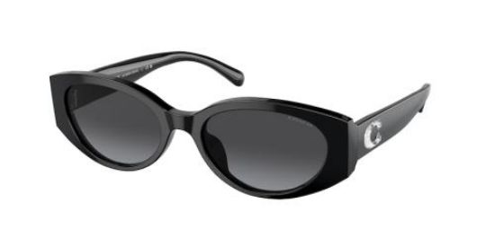Picture of Coach Sunglasses HC8353F