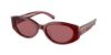Picture of Coach Sunglasses HC8353F