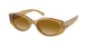 Picture of Coach Sunglasses HC8353F