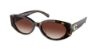 Picture of Coach Sunglasses HC8353U