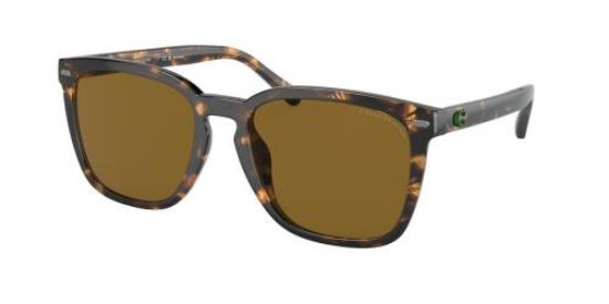 Picture of Coach Sunglasses HC8354U