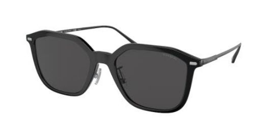 Picture of Coach Sunglasses HC8355