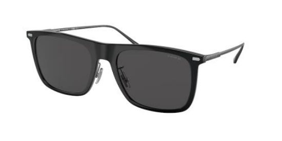Picture of Coach Sunglasses HC8356
