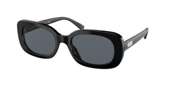 Picture of Coach Sunglasses HC8358F