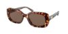 Picture of Coach Sunglasses HC8358F