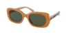 Picture of Coach Sunglasses HC8358F