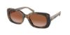 Picture of Coach Sunglasses HC8358F