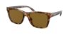 Picture of Coach Sunglasses HC8359U