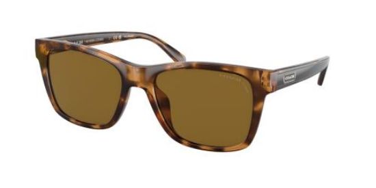 Picture of Coach Sunglasses HC8359U
