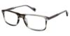 Picture of Ben Sherman Eyeglasses NEWGATE