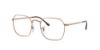 Picture of Ray Ban Eyeglasses RX3694V