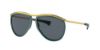 Picture of Ray Ban Sunglasses RB2219