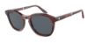 Picture of Giorgio Armani Sunglasses AR8170