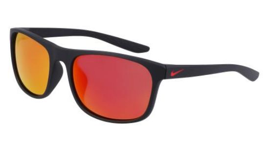 Picture of Nike Sunglasses ENDURE M FJ2198