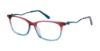 Picture of Betsey Johnson Eyeglasses PETITE FILLE