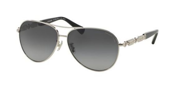 Picture of Coach Sunglasses HC7048