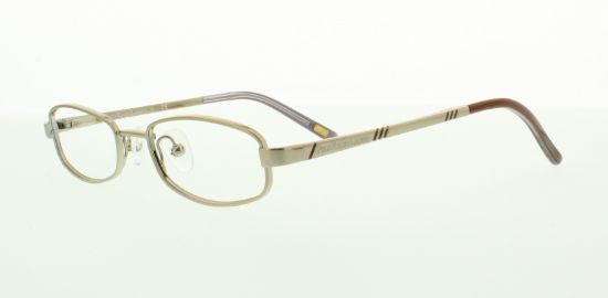 Picture of Polo Eyeglasses PP8016