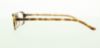 Picture of Polo Eyeglasses PP8502
