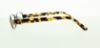 Picture of Polo Eyeglasses PP8028
