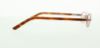 Picture of Polo Eyeglasses PP8006