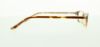 Picture of Polo Eyeglasses PP8501