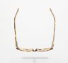 Picture of Polo Eyeglasses PP8501