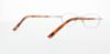 Picture of Polo Eyeglasses PP8010