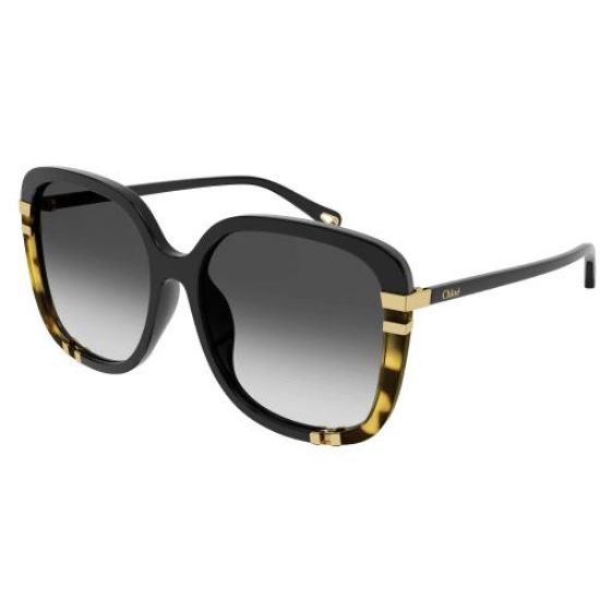 Picture of Chloe Sunglasses CH0106SA