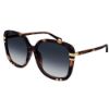 Picture of Chloe Sunglasses CH0106SA