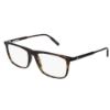 Picture of Montblanc Eyeglasses MB0012O
