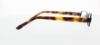 Picture of Polo Eyeglasses PP8028