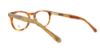 Picture of Penguin Eyeglasses THE MELVIN