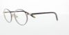 Picture of Polo Eyeglasses PP8013