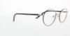 Picture of Polo Eyeglasses PP8013
