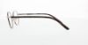 Picture of Polo Eyeglasses PP8013