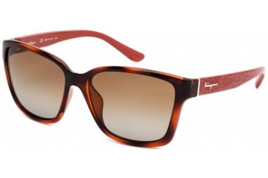 Picture of Salvatore Ferragamo Sunglasses SF716S