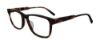 Picture of Fila Eyeglasses VFI304